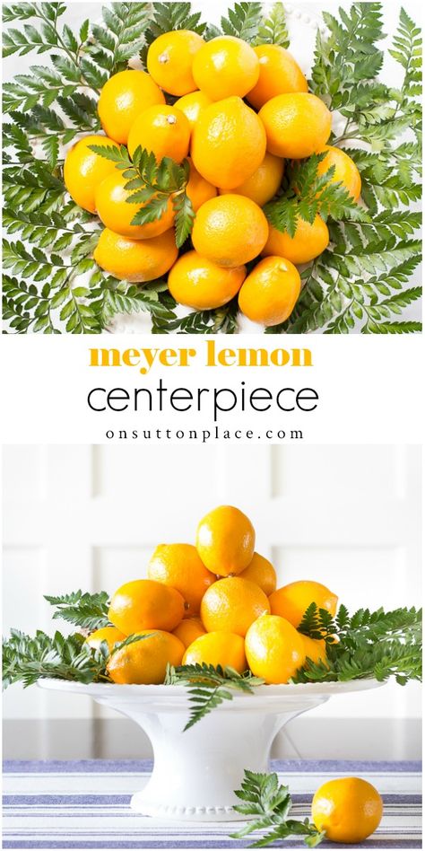 Make this fresh and beautiful meyer lemon centerpiece with items found at the grocery store, and in way under 20 minutes! #centerpiece #centerpieceidea #fruitcenterpiece #meyerlemon Lemon Centerpiece, Lemon Centerpieces, Fruit Centerpieces, Cheap Fall, Kinds Of Fruits, Simple Centerpieces, Meyer Lemon, French Home Decor, Beautiful Flower Arrangements