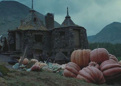 Harry Potter and the Prisoner of Azkaban (2004) Hagrids Hut, Stile Harry Potter, Gryffindor Aesthetic, Harry Potter Wall, The Prisoner, Creation Art, The Prisoner Of Azkaban, Images Harry Potter, Hogwarts Aesthetic