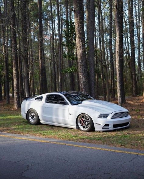 The retirement age needs to be lowered to 30 I've had enough#ford #mustang #s197 #fordmustang Mustang S197, Had Enough, Magical Places, Ford Mustang, Cool Cars, Mustang, Ford, Cars, Pins