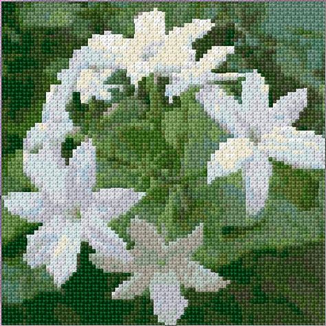 Jasmine Flower, Online Pattern, 1 Pound, Cross Stitch Designs, Embroidery Design, Cross Stitch Patterns, Stitch Patterns, Embroidery Designs, Free Design