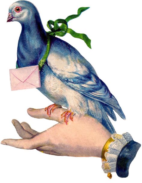 Pigeon post letter postal post office Dresdens birds philately philatelic passenger pigeon courier carrier pigeon homing pigeon blue gray white pink green silk ribbon lady’s hand delivery envelope correspondence Victorian 19th century 1800s 1860s 1870s 1880s antique historical clothing fashion history civil war era antebellum inspiration trousseau womens womans ladys ladies childs dolls girls clip art clipart graphic graphics Carrier Pigeon, Images Victoriennes, Vintage Illustration Art, Victorian Scrap, Graphics Fairy, Images Vintage, Arte Inspo, Vintage Birds, Mail Art