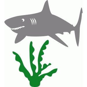 Silhouette Design Store - Search Designs : Sea Cool Boys Bedroom Ideas, Svg Animals, Silhouette Online Store, Shark Party, Silhouette America, Silhouette Cameo Projects, Cameo Projects, Silhouette Design Store, Cricut Creations