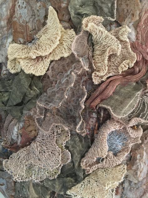 Clothes Made From Nature, Mushroom Textiles Gcse, Natural Form Textiles, Fungi Textiles, Natural Forms Textiles, Soft Decay, Regeneration Art, Textiles Nature, Nature Textiles