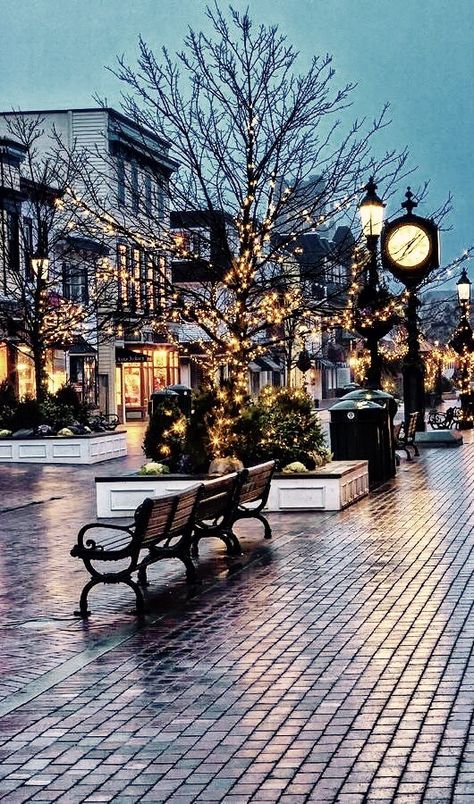 Washington Street Mall Cape May, NJ. in the Winter. Christmas Photograph, Have Inspiration, Cape May, City Street, Christmas Scenes, Christmas Aesthetic, Pretty Places, Cozy Christmas, Winter Scenes