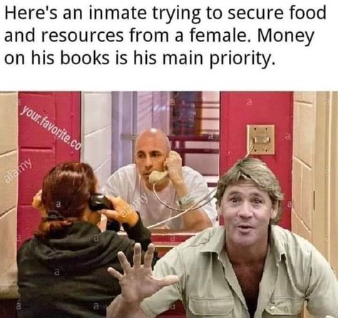 Correctional Officer Humor, Prison Memes, Funny Memea, Prison Humor, Petty Memes, Legal Humor, Game Lol, Cops Humor, Ex Quotes