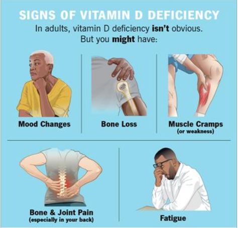 VITAMIN D PROFILE ✅Vitamin D is unique because your skin actually produces it by using sunlight. WhatsApp for health package advice 9893601060 👉✅BOOK NOW VITAMIN D PROFILE Here https://bit.ly/3iOsQB1 #plus100years #health #healthcheckups #vitaminD #thyrocarepackages #bloodtest #bloodsamples #aarogyam #homebasedservices #india #alloverworld #telangana #labtests Vitamin D Deficiency Symptoms, Iv Solutions, Vitamin D Foods, Deficiency Symptoms, Vitamin D Deficiency, Magnesium Deficiency, Muscle Weakness, Bone Loss, Mood Changes