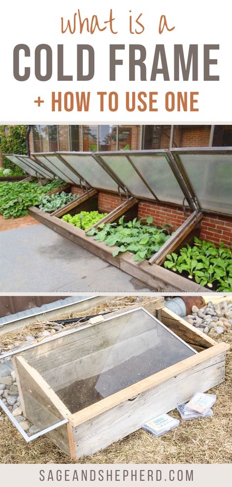 Learn everything you need to know about a cold frame! A cold frame allows you to plant earlier and grow cold hardy crops like lettuce and roots! Pallet Cold Frame, Garden Cold Frame Diy, Cold Frame Garden, Straw Bale Cold Frame, Coldframe Gardening Diy, How To Build A Cold Frame, Cold Frame Diy How To Build, Diy Cold Frame Ideas, Cold Box Gardening