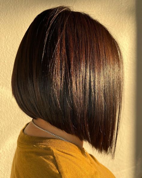 Sleek Red Brown Bob with Soft Undercut Long Angled Bob, Angled Bob Haircuts, Angled Bob Hairstyles, Stacked Bobs, Stacked Bob Haircut, Bob Hairstyles For Thick, Bob Hairstyles With Bangs, Medium Bob Hairstyles, Bob Haircut With Bangs