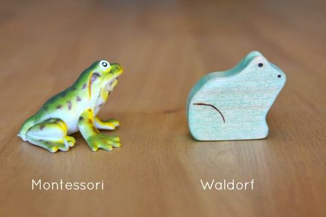 Montessori vs Waldorf Frogs  Great blog post about the importance of selecting play and learning material for your child. Montessori Lower Elementary, Special Education Classroom Organization, Apple For Teacher, Children's House, Playing With Kids, Homeschool Montessori, Montessori Parenting, Museum Education, Heuristic Play