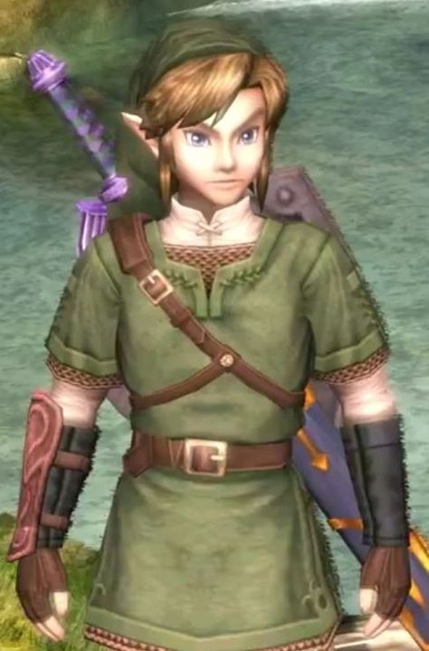 Twilight Realm, Link Loz, Loz Twilight Princess, Twilight Princess Link, Link Twilight Princess, Twilight Link, Link Costume, Link Cosplay, Legend Of Zelda Twilight Princess