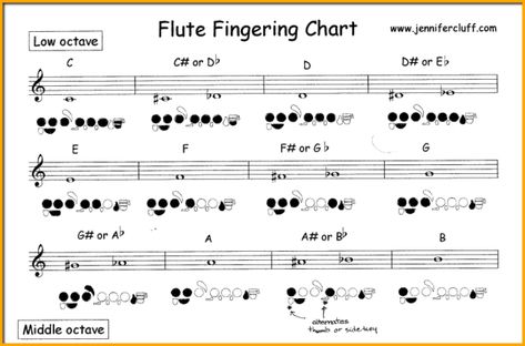 learn flute notes - fingering chart Learn Flute, Flute Fingering Chart, Read Sheet Music, Flute Notes, Music For Beginners, Flute Lessons, Music Practice, Flute Music, Visual Memory