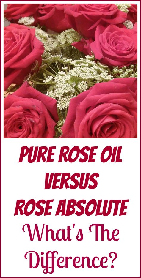 Diy Rose Essential Oil, Oil Quote, Spa Stuff, Herbal Skincare, Essential Oil Extraction, How To Make Rose, Medical Herbs, Essential Oil Carrier Oils, Rose Absolute