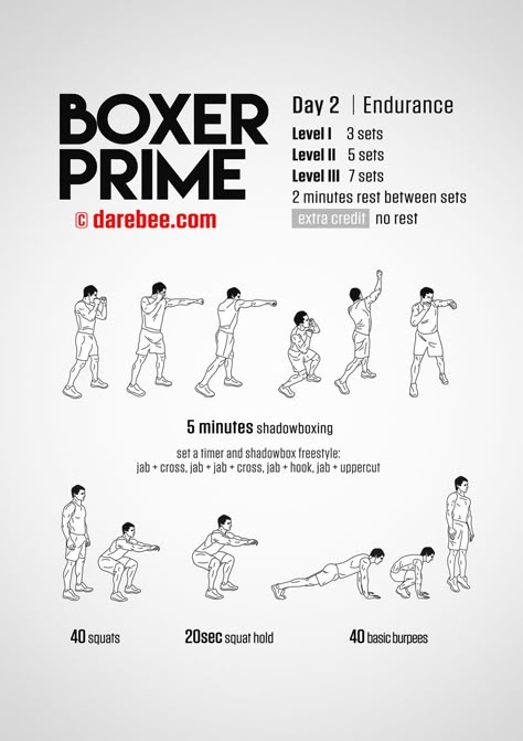 Day 2 - Page 3 Boxer Prime, Fitness Challenge 30 Day, Boxer Workout, Boxing Workout Routine, Boxing Routine, Home Boxing Workout, Boxer Training, Challenge 30 Day, Fighter Workout