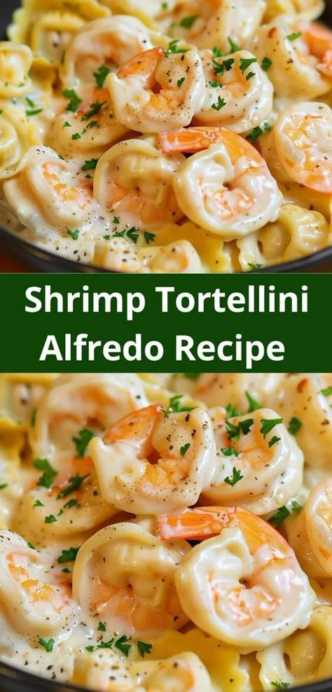 Need dinner recipes for family? Our Shrimp Tortellini Alfredo Recipe is a hit! This shrimp alfredo pasta is ideal for easy dinner ideas and offers a delicious shrimp dinner everyone will love. Shrimp Tortellini Alfredo, Shrimp Tortellini, Shrimp Pasta Recipes Easy, Shrimp Alfredo Recipe, Tortellini Alfredo, Alfredo Recipes, Creamy Shrimp Pasta, Pasta Recipes Alfredo, Creamy Shrimp