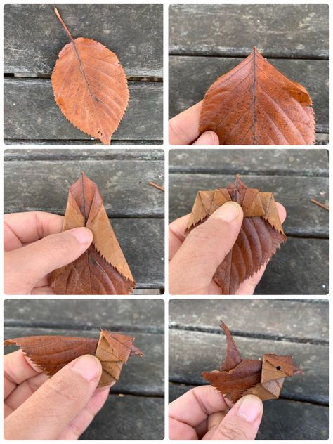 https://twitter.com/kusabanaasobi/status/1202775454165295104?s=09 Leaf Origami, Origami Leaf, Origami Leaves, Origami Tattoo, Origami Diagrams, Diy Tumblr, Origami Patterns, Origami Bird, Origami Paper Art