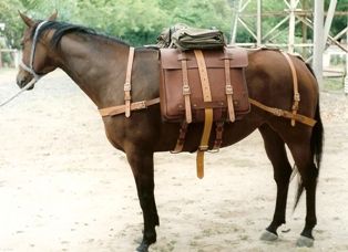 Pack harness, pack saddle, pack bags - Asterisk Horse Collars & Harness Pack Saddle, Horse Camping, Horse Travel, Pack Mule, Old West Town, Horse Heads, Horse Harness, German Military, West Town