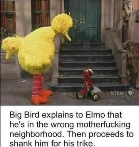 Big Bird Meme, Elmo Memes, Sesame Street Memes, Bird Meme, Fraggle Rock, Dark Jokes, Crush Memes, Dark Memes, Big Bird