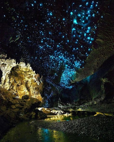 23 Amazing Places on Earth That Seem Out of This World - Wow Gallery Caves Aesthetic, Uninhabited Island, Zhangjiajie, Socotra, Blue Hole, Amazing Places On Earth, Crystal Cave, Forest Park, 판타지 아트