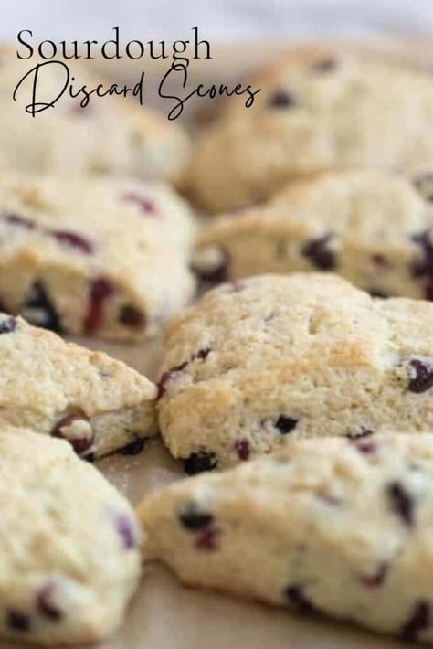 Discard Scones, Sourdough Discard Scones, Sourdough Scones, Blueberry Scones Recipe, Blueberry Biscuits, Recipe Using Sourdough Starter, Vegan Scones, Cranberry Orange Scones, Sourdough Bread Starter