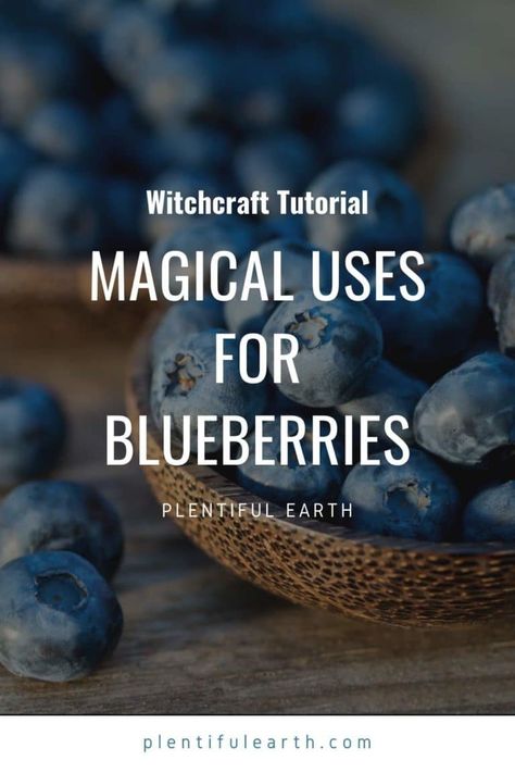 Magical Properties of Blueberries | How to Use Blueberries in Magic Spells » Plentiful Earth Kitchen Witchcraft, Blueberry Green Tea, Witch Kitchen, Witchy Kitchen, Earth Healing, Witch Things, Spiritual Things, Dried Berries, Healing Spells