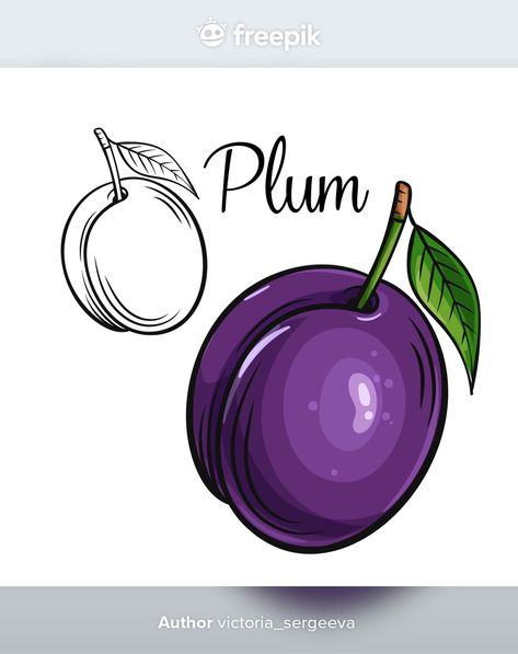 Plum drawing icon Premium Vector | Premium Vector #Freepik #vector #food #hand #fruit #health Plums Drawing, Plum Drawing, English Stickers, Vegetable Crafts, How To Draw Anything, Gouache Tutorial, Vegetable Drawing, Fruit Health, Food Doodles