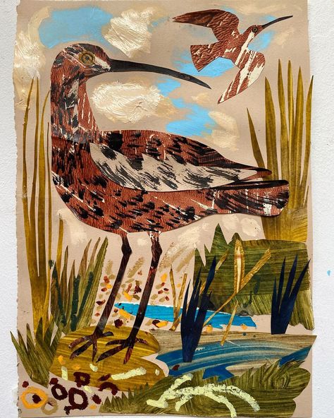 Mark Herald, Collage Animals, Baltimore Art, Mark Hearld, Art Assignments, Collage Art Projects, Collage Art Mixed Media, Collage Background, Bird Artwork