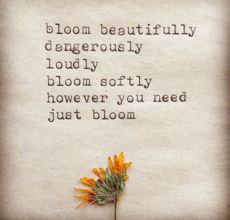 Quotes About Flowers Blooming, Wild Quotes, Paper Quotes, Bloom Quotes, Typewriter Quotes, Selflove Motivation, Paper Quote, Floral Quotes, Bloom Flowers