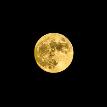 Yellow Moon Aesthetic, Black Yellow Aesthetic, Yellow Black Aesthetic, Yellow And Black Aesthetic, Black And Yellow Aesthetic, Photo Shadow, Yellow Night, Yellow Icon, Photo Yellow