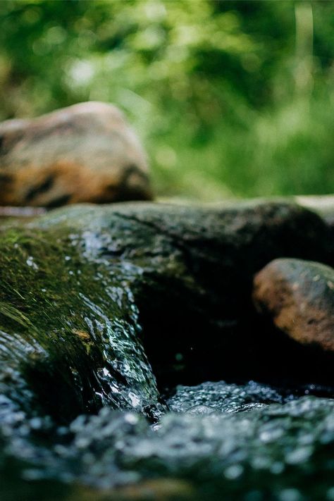 Small Waterfall Photography #forest #nature #forestphotography #naturephotography #naturelovers #jungle #naturephoto #waterfall #waterfallphoto #waterfallphotography #smallwaterfall #stream #creek Water Flowing Video, River Video, Water Video, Water Sound, River Flow, Photography Forest, Flowing River, River Flowing, Water Aesthetic