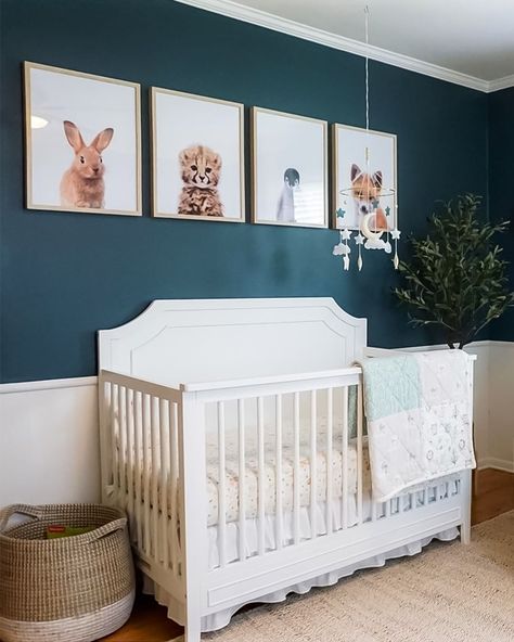 TheCrownPrints.com | Jenny Kun on Instagram: “How gorgeous is that deep, marine blue wall color in @ourhappyhillside's nursery?! Swipe to see more of this sweet room. And be sure to…” Navy Blue Baby Room, Navy Girl Nursery, Blue Wall Color, Navy Nursery Boy, Sweet Room, Cow Nursery, Navy Nursery, Blue Wall Colors, Blue Accent Walls