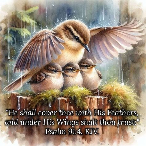 Psalm 91 4, Under His Wings, Beautiful Bible Verses, Kjv Bible, Cute Good Morning Quotes, Cute Good Morning, Holy Bible, Morning Quotes, Good Morning Quotes