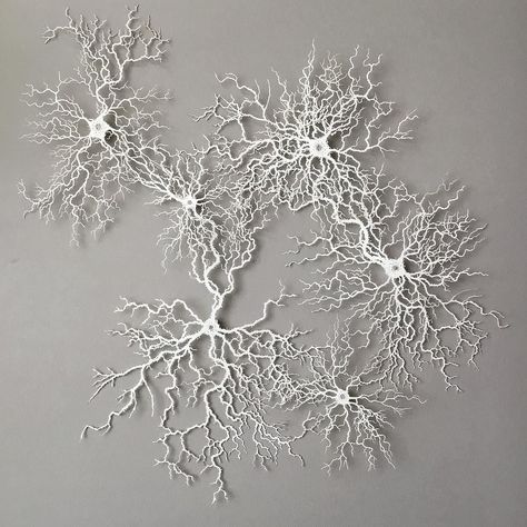 Optical Illusion Tattoos, Illusion Tattoos, Beautiful Sculptures, Fungi Art, Paper Sculptures, The Wilds, Southern France, Things Under A Microscope, Paper Cut Art