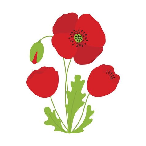 poppy flowers illustration Poppy Flower Illustration, Flowers Illustration, Poppy Flowers, Poppy Flower, Flower Illustration, Illustration Vector, Cute Cartoon, Lehenga, Vector Art