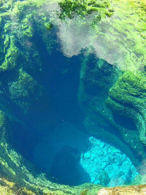 Jacob's Well Austin,TX. One of the longest underwater caves in Texas and an artesian spring. Jacobs Well Texas, America Continent, Jacobs Well, Underwater Caves, Travel Locations, Texas Hill Country, Beautiful Places To Travel, Nature Aesthetic, Pretty Places