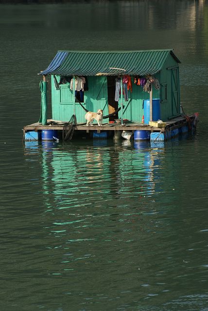 Shanty Boat, Vietnam Voyage, Nature Architecture, Halong Bay, Floating House, Cabins And Cottages, House Boat, Rafting, Tree House