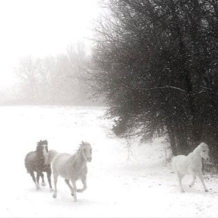 Terrence Loves You, Gloomy Coquette, Winter Princess, Snow Princess, Winter Fairy, Snow Angel, Cinnamon Girl, I Love Winter, Snow Bunnies