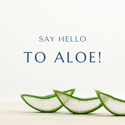 Hey there! 👋 I’m Justyna Stelmaszak - your guide to unlocking the natural power of pure aloe vera for radiant skin and vitality from the inside out! 🤩 With over 5 years of experience using Forever aloe vera products, I share here firsthand knowledge and passion for this magical plant. Let’s explore the endless possibilities of aloe vera together! 💁‍♀️ Curious about what lies ahead? Discover more below ⤵️ ✨ Elevate Your Routine: Discover tips and inspiration to elevate your daily routine! ... Aloe Vera Products, Aloe Vera For Skin, Forever Aloe, Pure Aloe Vera, Hey There, Radiant Skin, The Endless, Endless Possibilities, Daily Routine