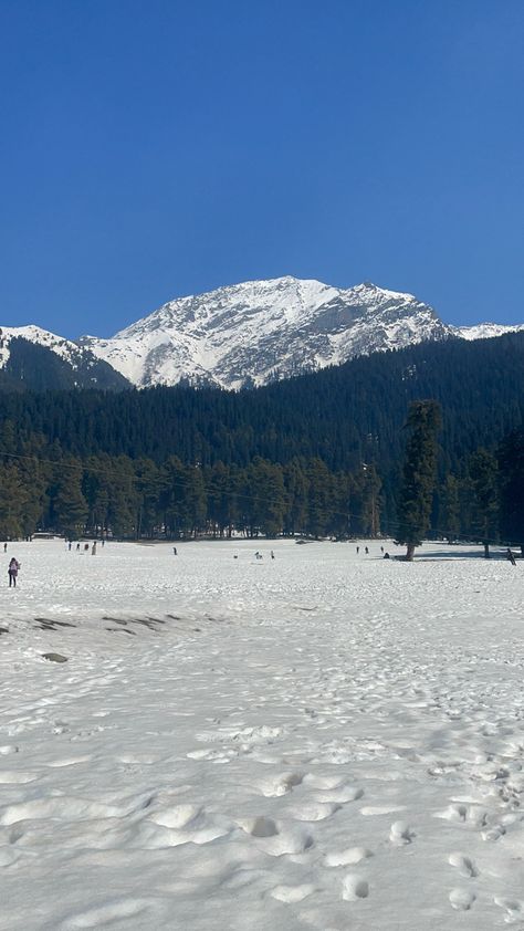 Yusmarg Kashmir, Gulmarg Kashmir, Wallpapers, Collage, Quick Saves, Pins