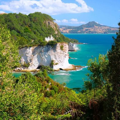 9 Unique Things to Do on New Zealand’s North Island New Zealand Beaches, New Zealand North Island, Cathedral Cove, North Island New Zealand, Waiheke Island, New Zealand North, Beautiful Hikes, Life Ideas, Spring Nature