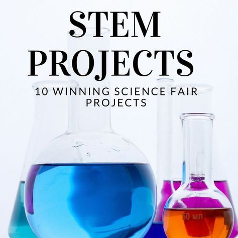 Science Fair Projects Biology, Stem Fair Projects, Winning Science Fair Projects, Chemistry Major, Coding Activities, Steam Classroom, Projects Science, Science Stem, Steam Projects