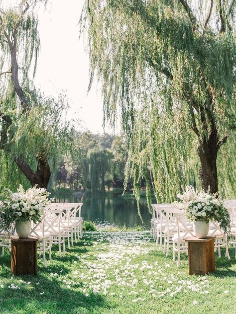 Tree Wedding Ceremony, Willow Tree Wedding, Rustic Wedding Decorations, Wedding Ceremony Ideas, Garden Wedding Decorations, Beautiful Wedding Venues, Future Wedding Plans, Outdoor Wedding Decorations, Tree Wedding