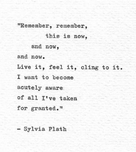 Sylvia Plath Poems, Plath Poems, Sylvia Plath Quotes, Now Quotes, Poetic Words, Literature Quotes, Sylvia Plath, Literary Quotes, Poem Quotes