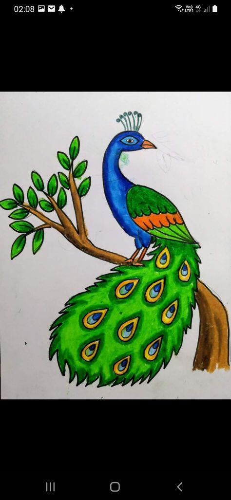 Peacock Kids Drawing, Birds Drawing Easy For Kids, Peacock Drawing For Kids, Peacock Drawing Images, Peacock Drawing Simple, Peacock Drawing Easy, Peacock Drawing With Colour, Bird Drawing For Kids, Holi Drawing