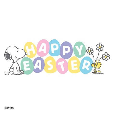 PEANUTS on Twitter: "Happy Easter! 🐰🐥🌸… " Charlie Brown Easter, Happy Easter Wallpaper, Peanuts Wallpaper, Snoopy Easter, Easter Backgrounds, Snoopy Images, Easter Wallpaper, Happy Easter Card, Snoopy Wallpaper