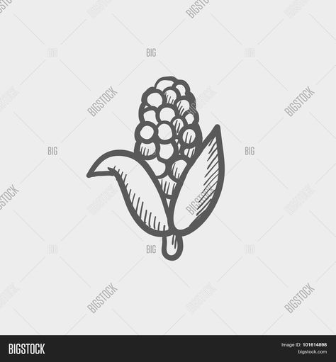 Corn Drawing Simple, Corn Sketch, Corn Drawing, Fruit Sketch, Sketch Icon, Hand Images, Drawing Inspo, Hand Drawn Vector, Terracotta Pots