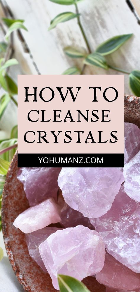 Learn how to cleanse crystals. Cleansing crystals can be done in a variety of ways. Choose the best way to clean crystals for healing with this informative guide. Healing crystals, healing stones #healingstones #healingcrystals #crystals #cleansecrystals #yohumanz Epson Salt Bath, Crystals Cleansing, Tarot Spreads Layout, Clean Crystals, Cleanse Crystals, Uric Acid Crystals, Crystal Cleansing, Crystals For Healing, Epson Salt