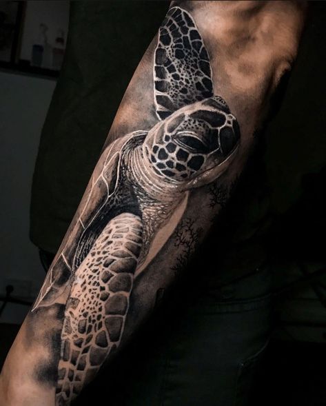 ‪Turtley awesome 🐢‬ ‪Tattoo by @arturgil_tattoo‬ . . . . . . #tattoo #tattoos #tattooideas #hushreveal #hushup #tattooreveal #arturgil_tattoo #tattoosleeve #tatuajes #tatuagem #HushAnesthetic #animaltattoo #seaturtle #turtletattoo #turtle Realistic Turtle Tattoo Designs, Sea Turtle Shoulder Tattoo, Sea Turtle Tattoo Men, Ocean Creature Tattoo, Turtle Arm Tattoo, Turtle Tattoo Sleeve, Animal Half Sleeve Tattoo, Turtle Tattoo Men, Turtle Tattoo Realistic