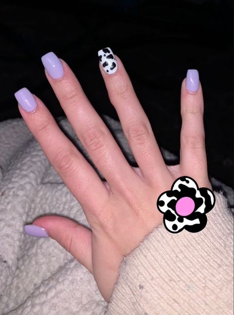 Purple Cow Print Nails Acrylic, Lilac Cow Print Nails, Purple Nails With Cow Print, Purple Nails Cow Print, Purple Country Nails, Purple And Cow Print Nails, Light Purple Cow Print Nails, Cow Print Wedding Nails, Pink And Blue Cow Print Nails