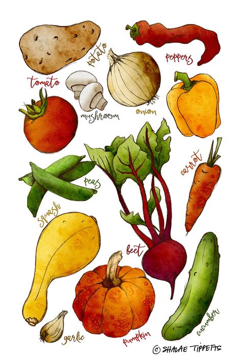 Fruit And Veggie Drawing, Fruit And Veg Drawings, Food Ingredients Illustration, Cartoon Vegetables Illustration, Vegetable Drawing Simple, Vege Illustration, Food Illustrations Design, How To Draw Vegetables, Veg Drawing