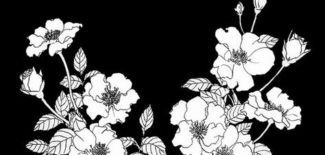 @archillect : https://t.co/OxKaTgzbgZ Flower Header, 트위터 헤더, Black Banner, Bg Design, Overlays Picsart, Header Pictures, Japon Illustration, Black And White Flowers, Twitter Layouts